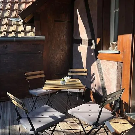 Doux Refuge Avec Terrasse Parking Gratuit * Beblenheim